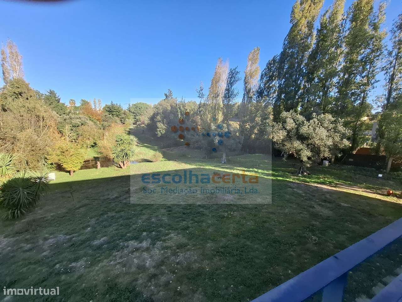 Quinta dos Seus Sonhos Onde a Natureza Fala Mais Alto Palmela - Quinta-30