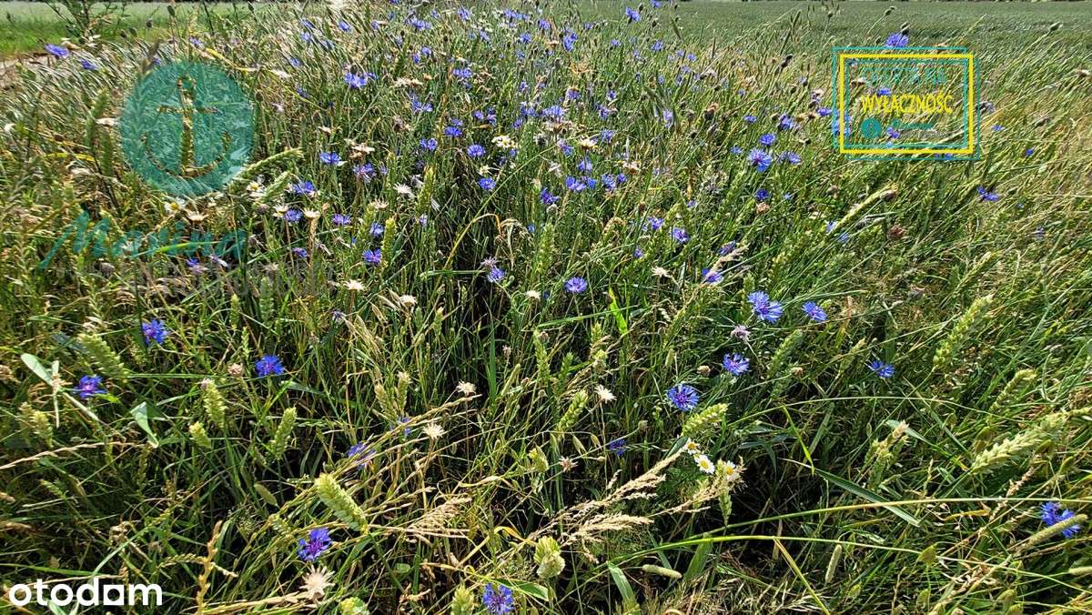 Działki budowlane nad morzem-12