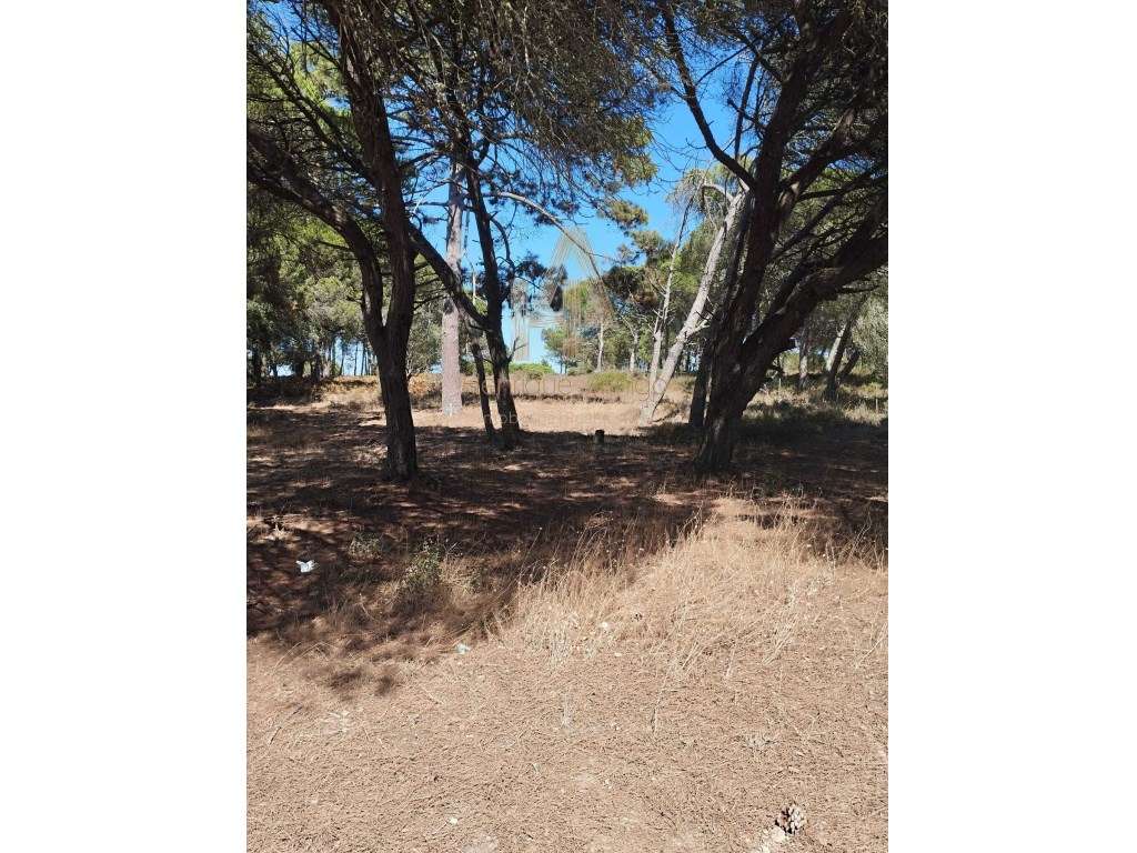 Terreno em Sesimbra - Grande imagem: 3/5
