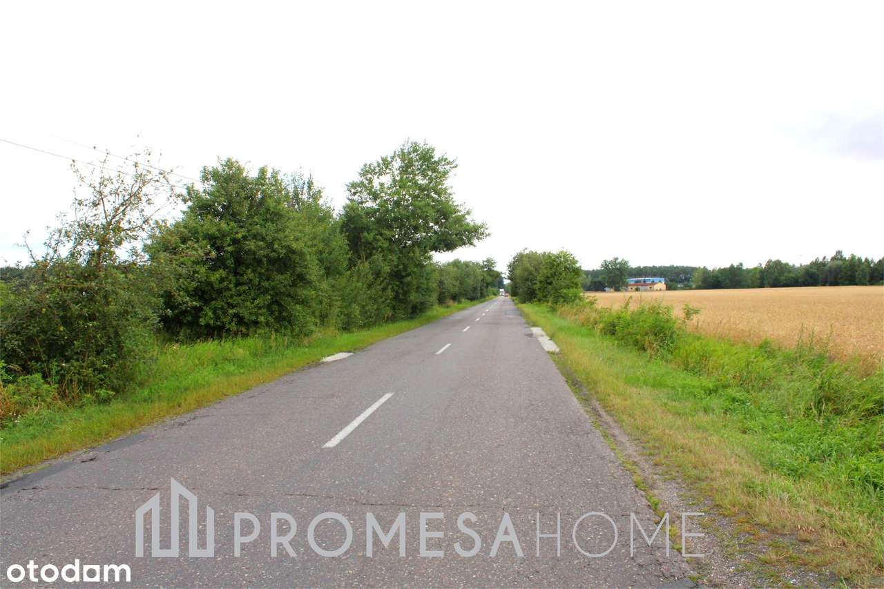 ok. Ostroroga 5400m2 SUPER CENA dojazd asfaltowy !!!! - Pełny obrazek: 4/5