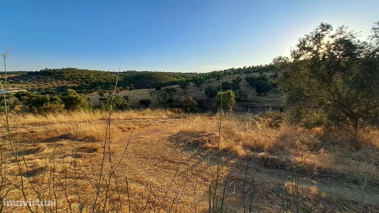 TERRENO RÚSTICO COM 6,82 Hectares em Alqueva com Ruína e Poço - Grande imagem: 4/14