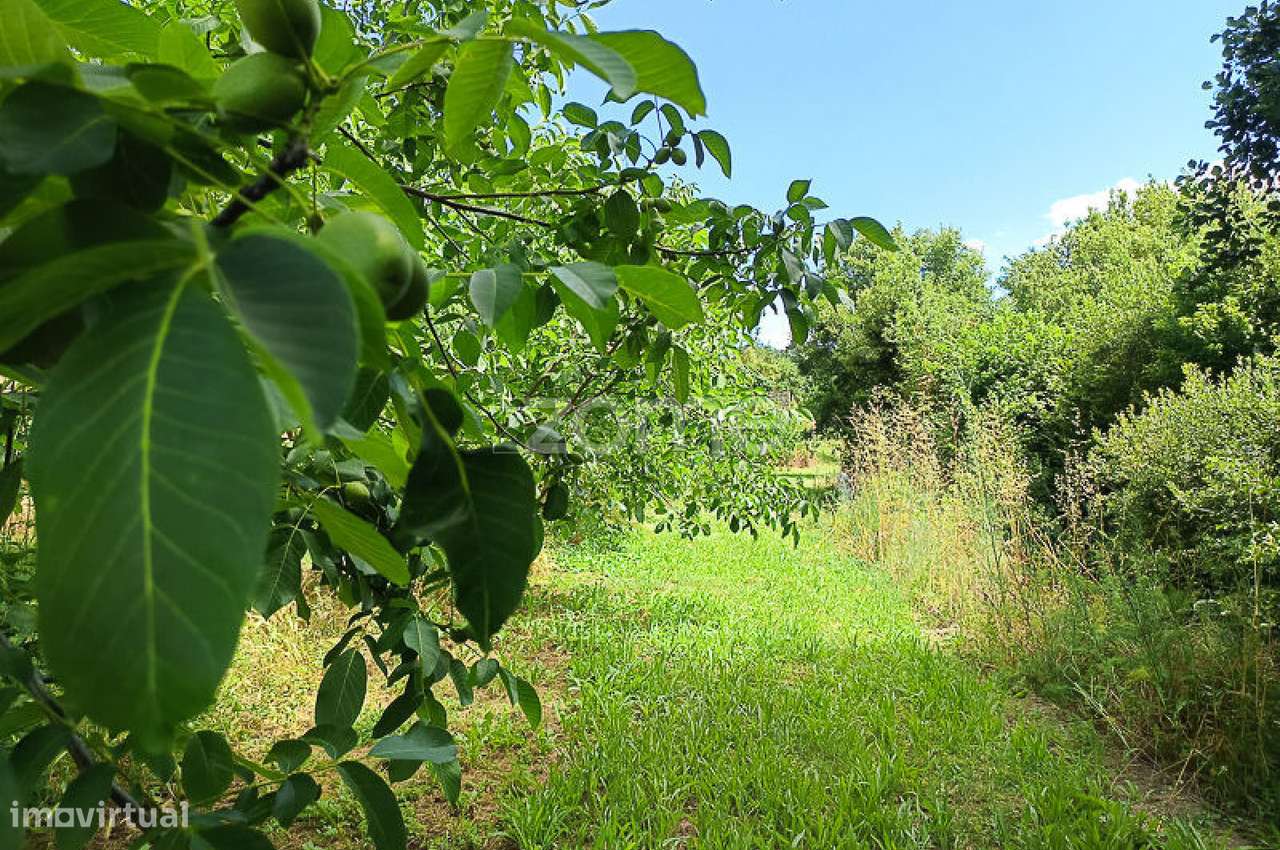 Quinta do Mosteiro de Salzedas com mais 17 ha e património histórico-55