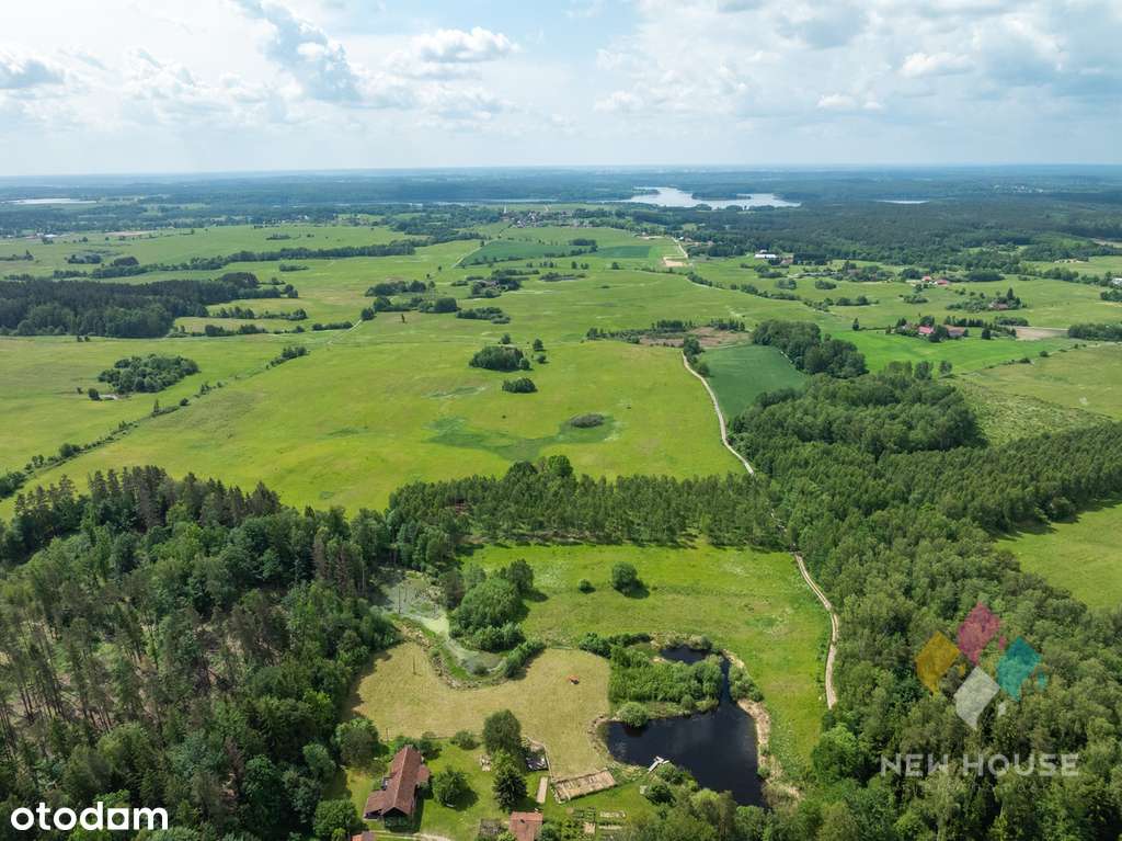 Działka z lasem 13 km od Olsztyna - Pełny obrazek: 4/9