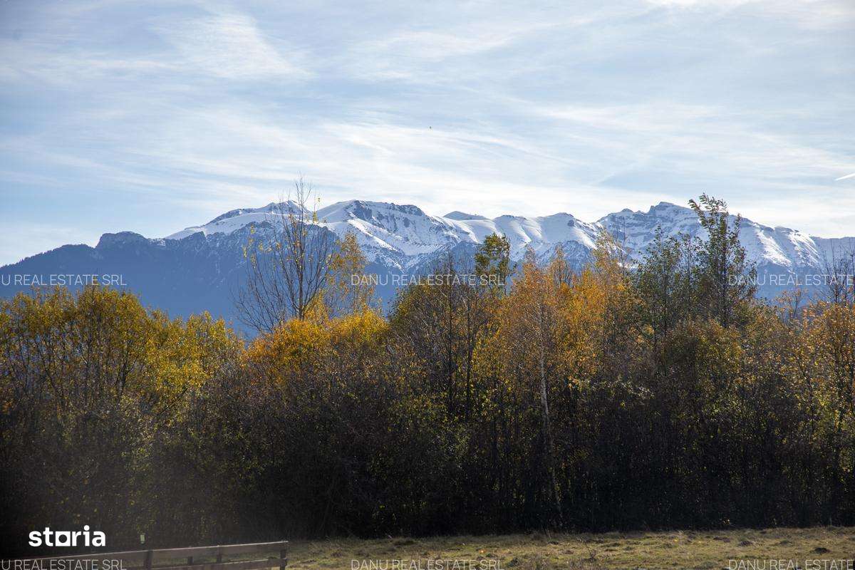 Comision0Teren intravilan 5723mp Zarnesti Tohanita-investitie - turism-10