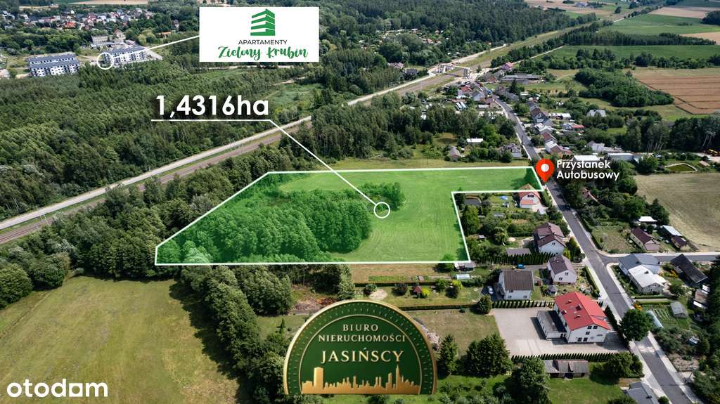 Działka inwestycyjna pod usługę| 1,5ha | Ciechanów - Pełny obrazek: 1/6