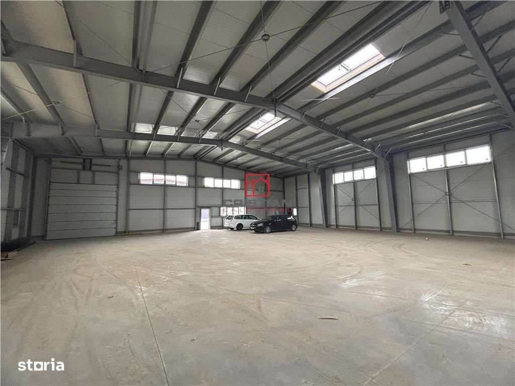 OCAZIE...BLACK FRIDAY... Inchiriere depozithalaspatiu industrial Pante - Imagine principală: 4/16
