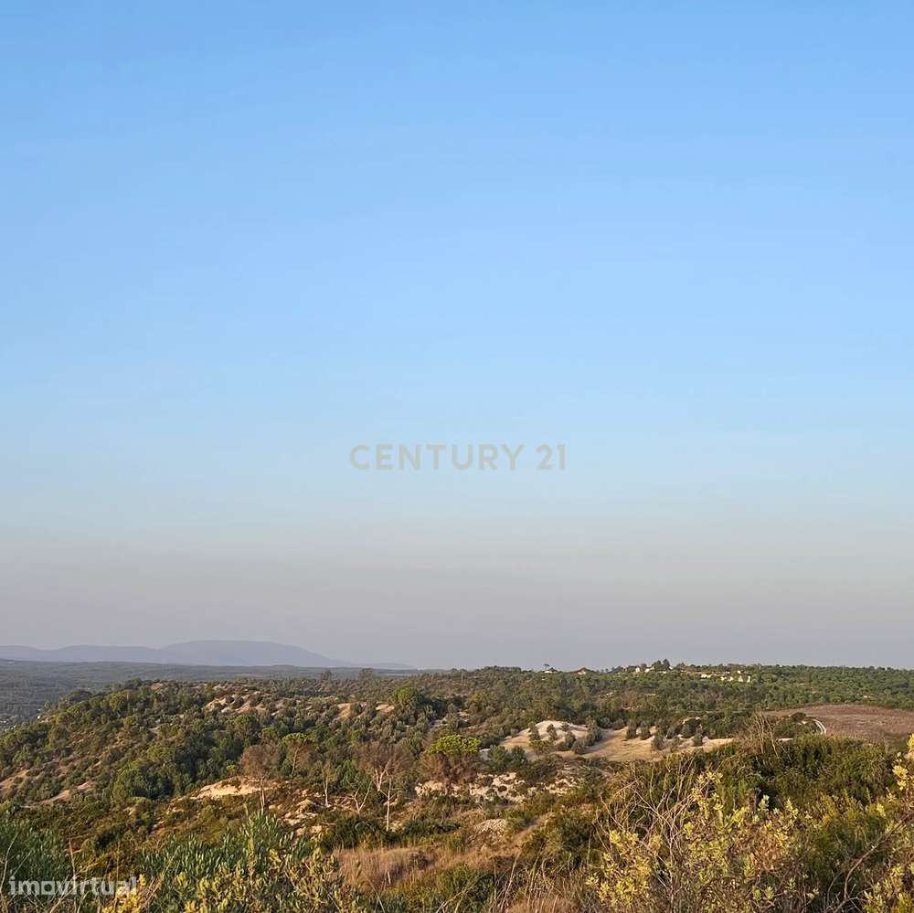 Terreno rústico de 19.720,00 m2 em Abitureiras para vinha e Olival - Grande imagem: 4/12