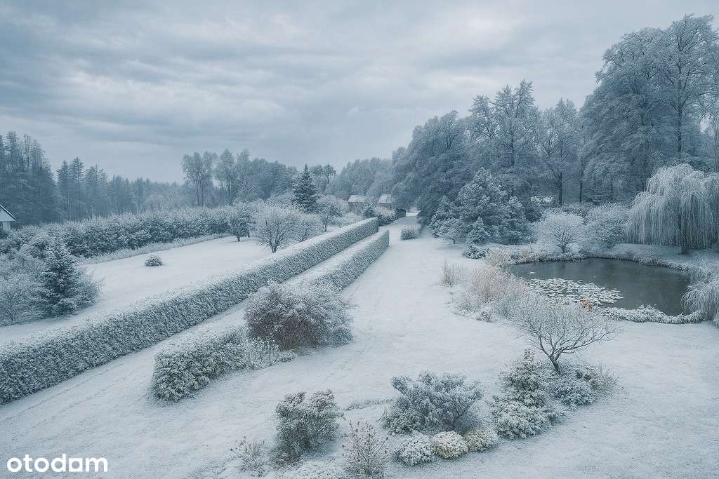 Siedlisko, staw, ogród, fotowoltaika, 7300 m²-2