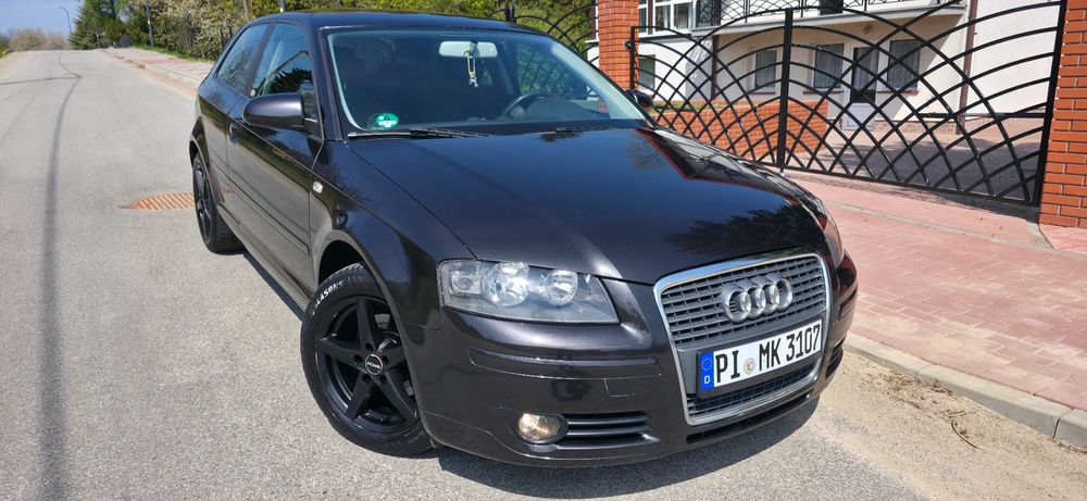 Audi A3 8P 1.9 TDIe DPF 2008