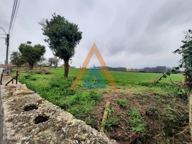 Quinta em Válega - Ovar-17