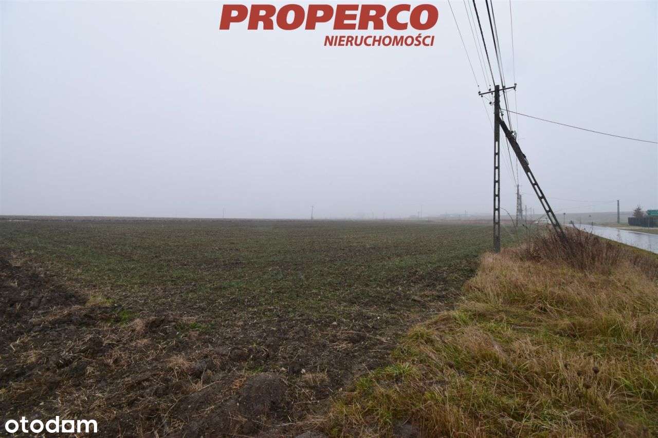 Działka 6200 m2, Potok Mały, gm. Jędrzejów - Pełny obrazek: 4/6