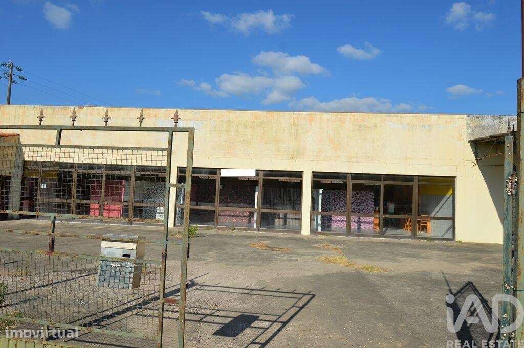 Loja / Estabelecimento Comercial em São Miguel, Santa Eufémia e Rabaça - Grande imagem: 4/20