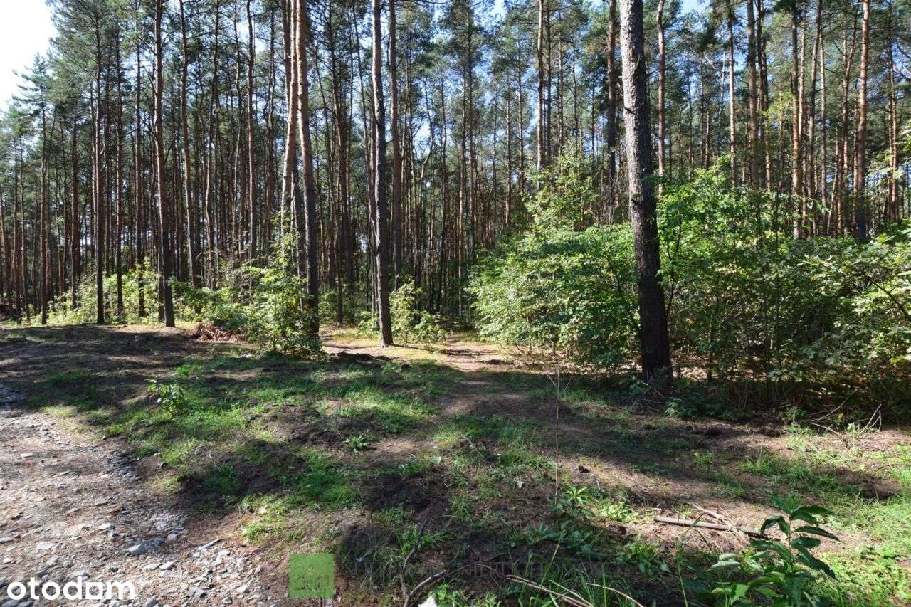 Działka, 1 535 m², Sulejówek-4