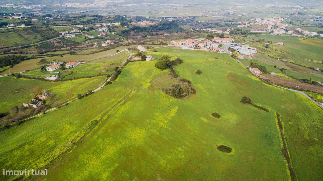 Quinta - 25 hectares-22