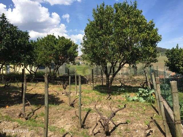 Casa com Terreno em Vilarinho de Cotas, Douro-28