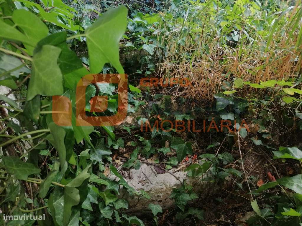 Imóvel para recuperação total no centro do Olho Marinho- Óbidos-3