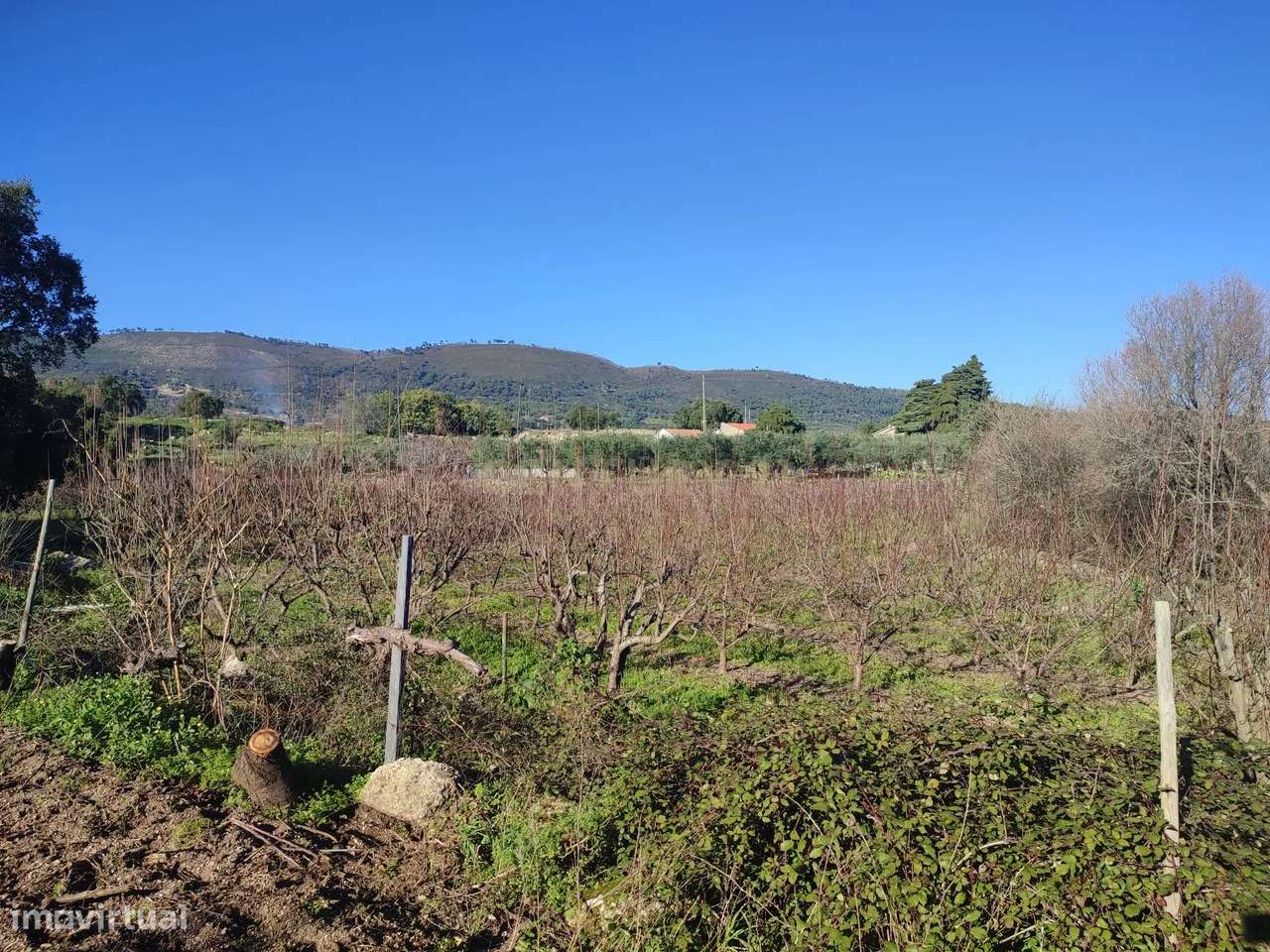 Fantástica Quinta, Alpedrinha - Grande imagem: 3/21