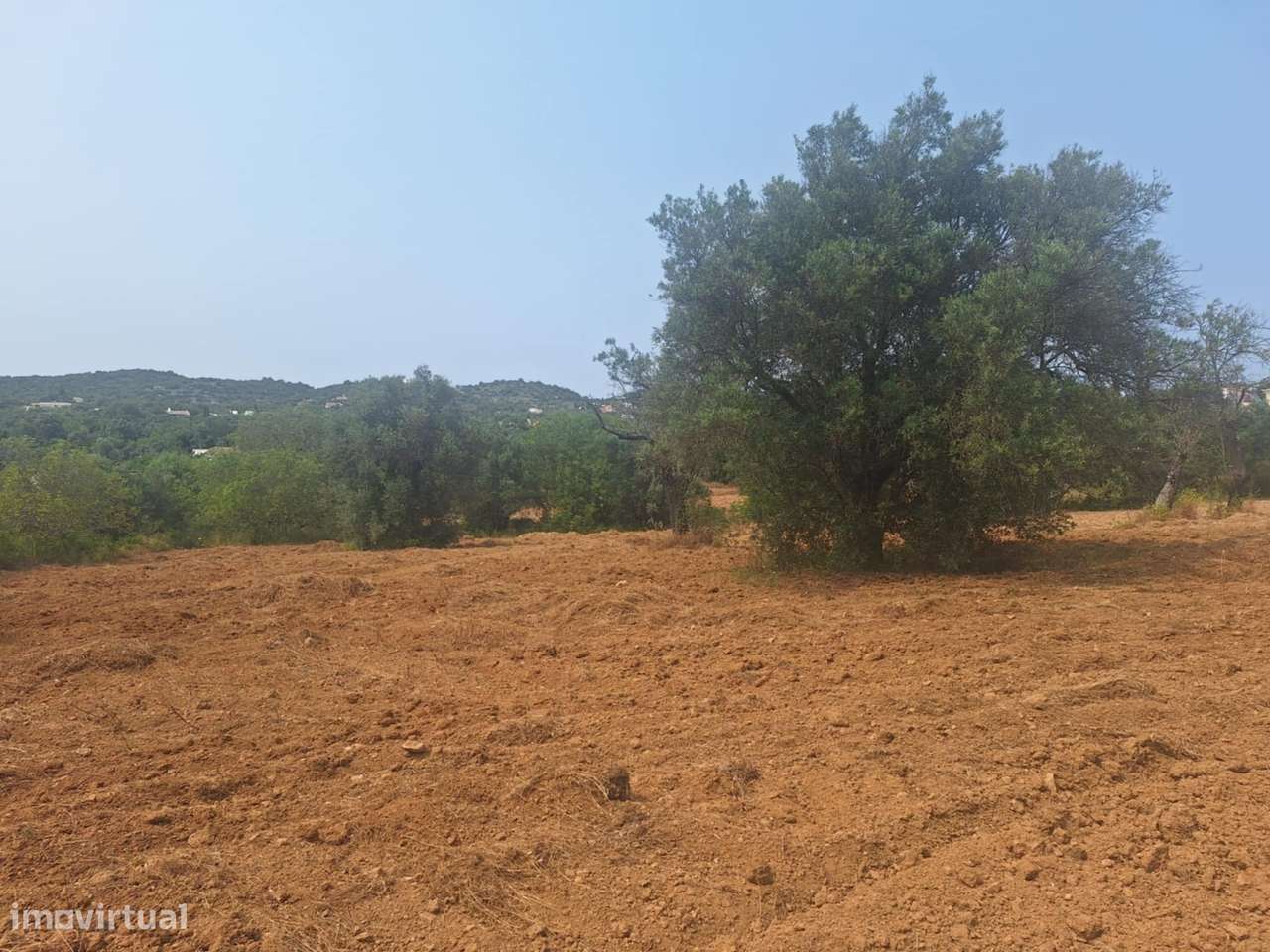 Terreno Rústico em Bordeira-2