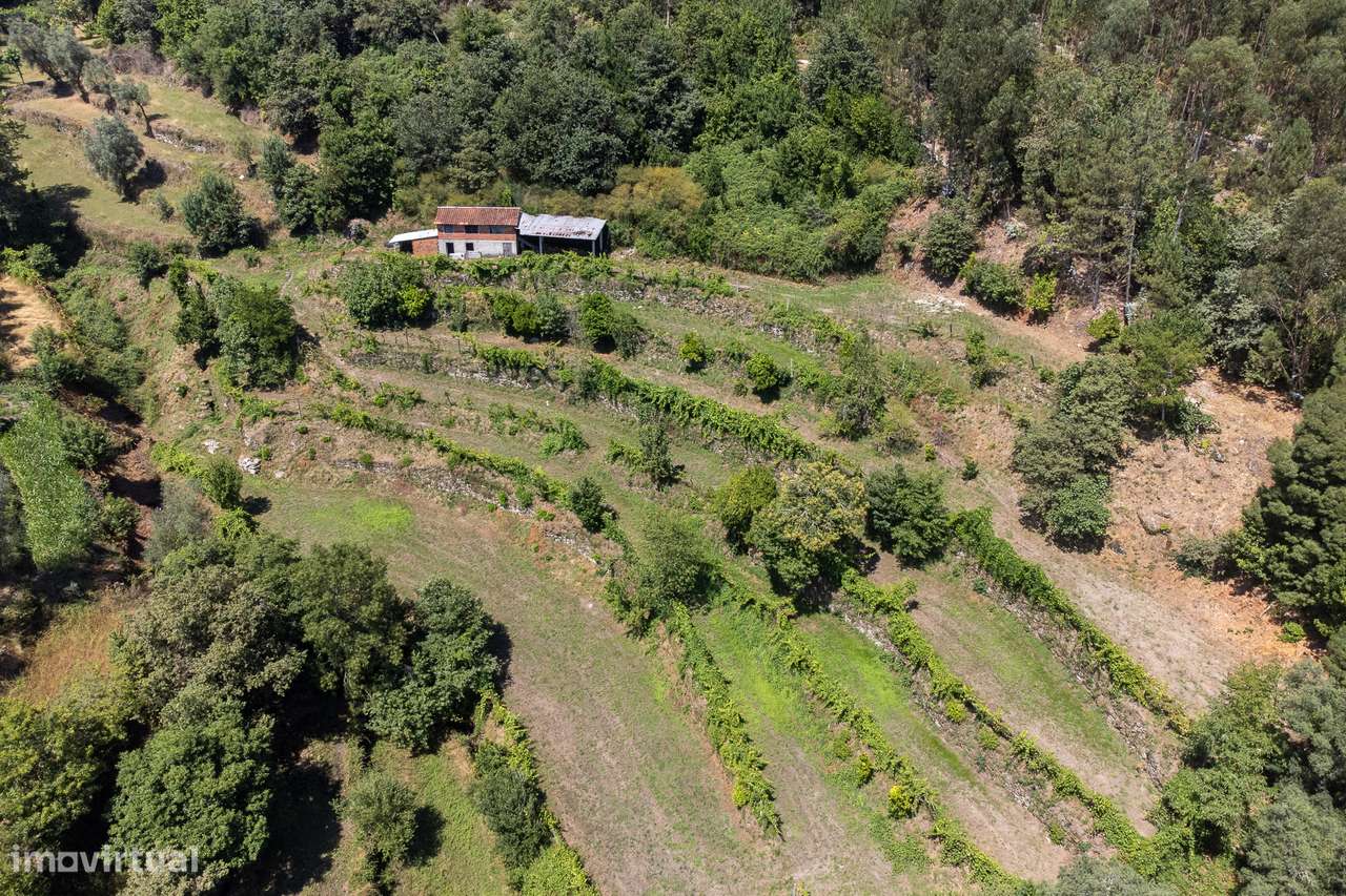 Terreno Agrícola à Venda em Seramil, Amares - Grande imagem: 4/28