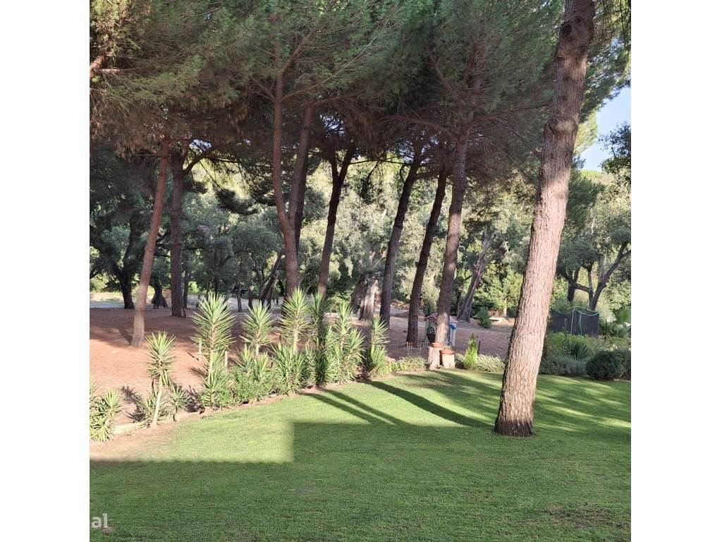 Luxuosa propriedade entre Grândola e Comporta, com 24 hectares-15