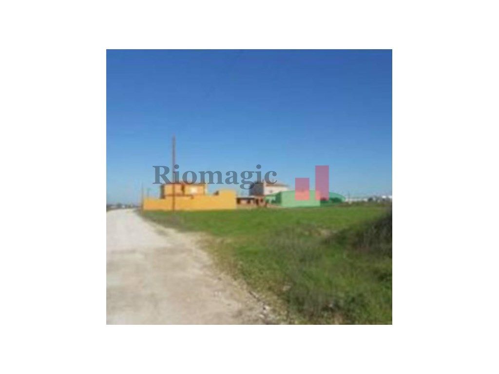 Lote de Terreno Alpiarça ***RIOMAGIC***