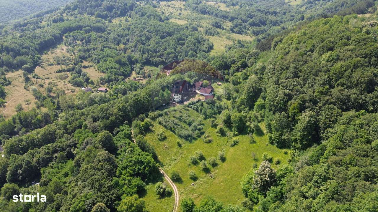 CASTEL DE VANZARE IN MARAMURES-10