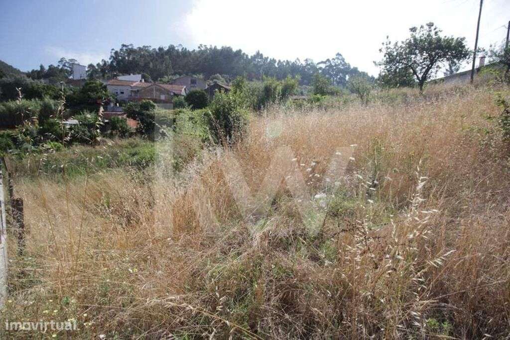 TERRENO|RUSTICO |VENDA |  EIRAS | SÃO PAULO DE FRADES | COIMBRA | INVE - Grande imagem: 4/6