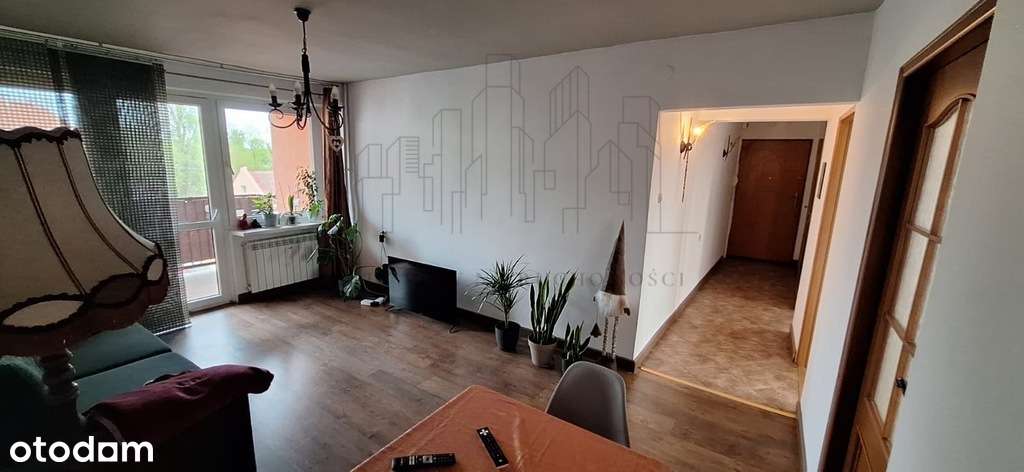 3 pokoje mieszkanie w Centrum w Wąsoszu dwustronne-0