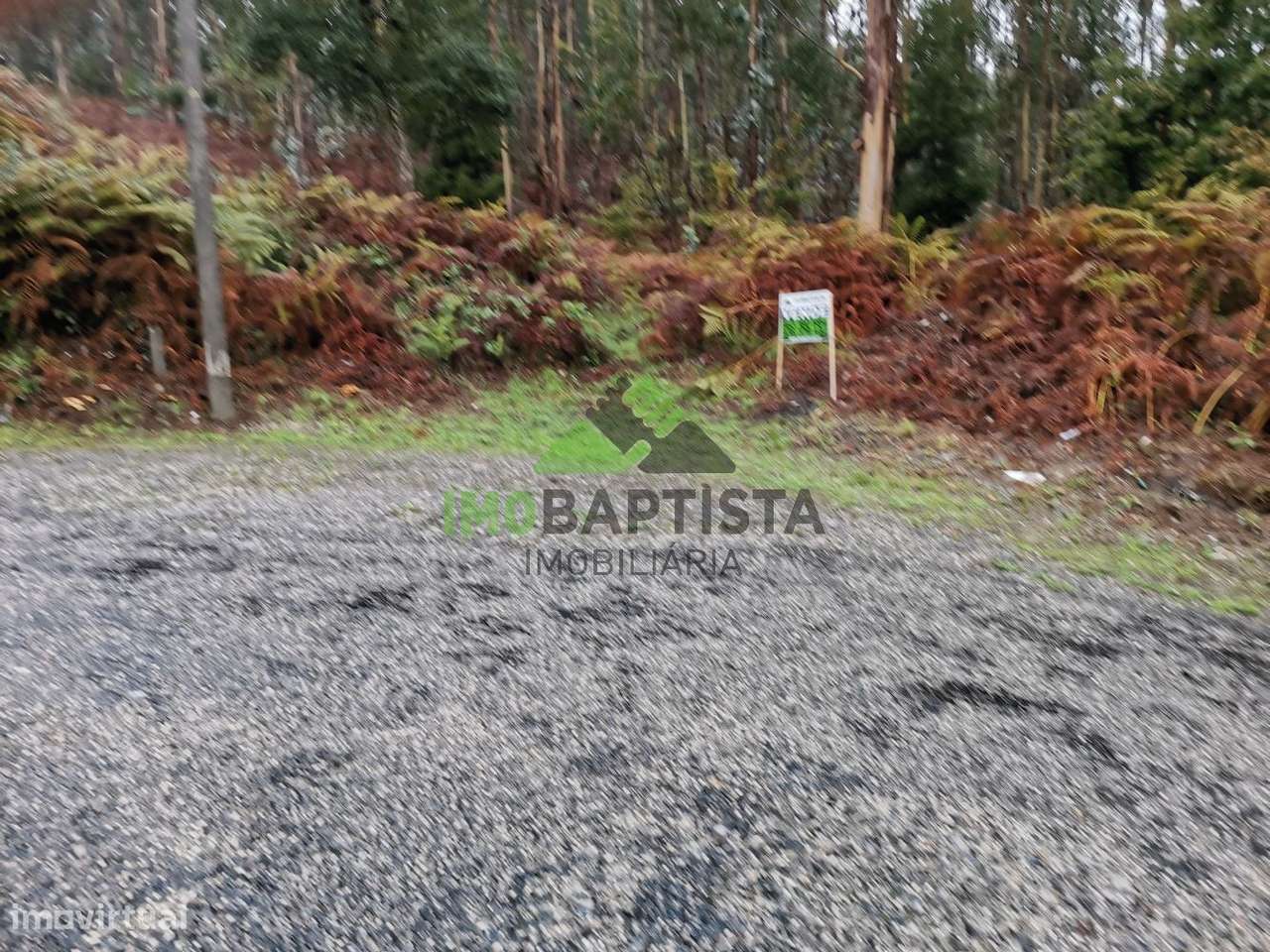 Terreno c/ 6100 m2 nas Caldas de S. Jorge - Grande imagem: 2/11