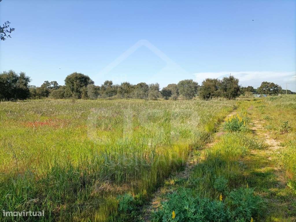 Terreno Foros da Charneca-9