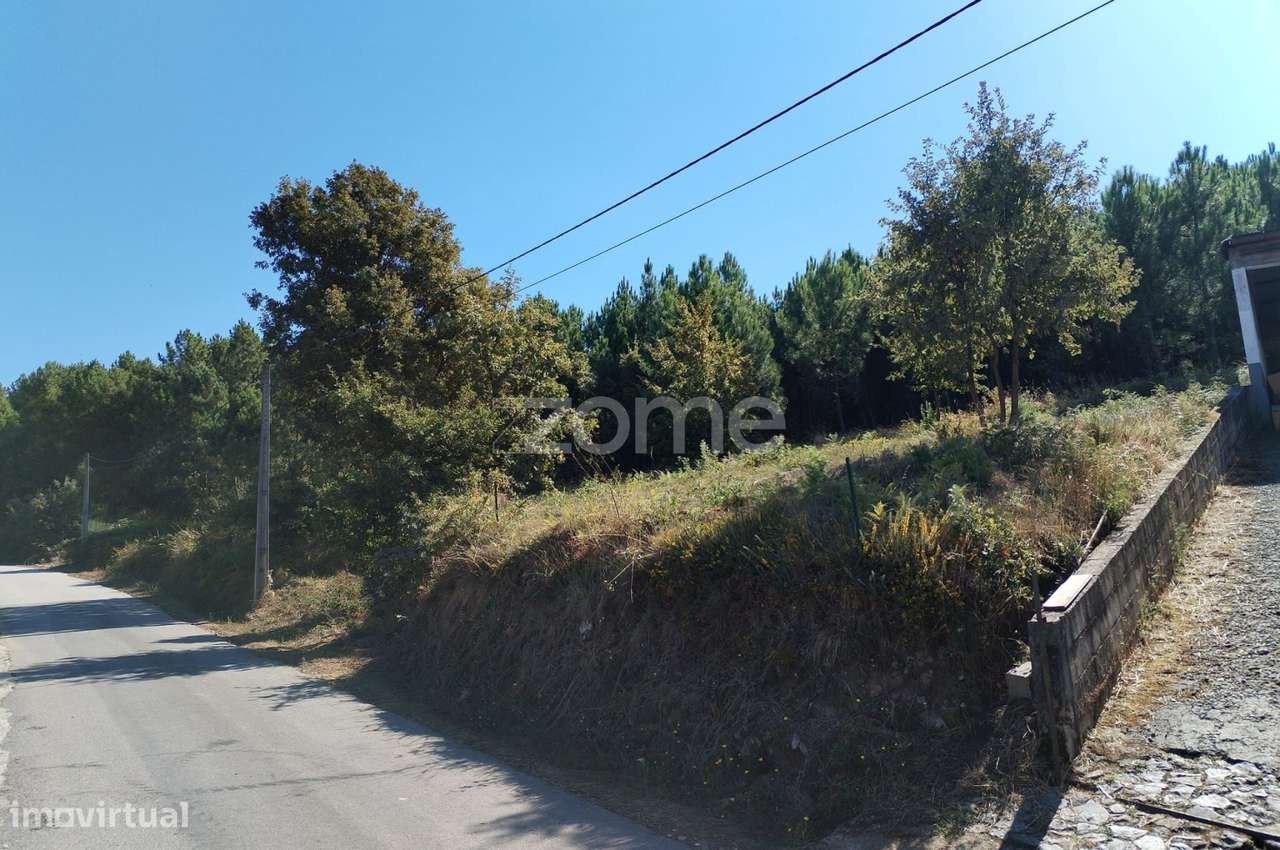 Terreno para costrução - Grande imagem: 5/8