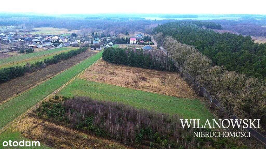 Działka budowlana 2993 m2 w sąsiedztwie lasu - Pełny obrazek: 5/6