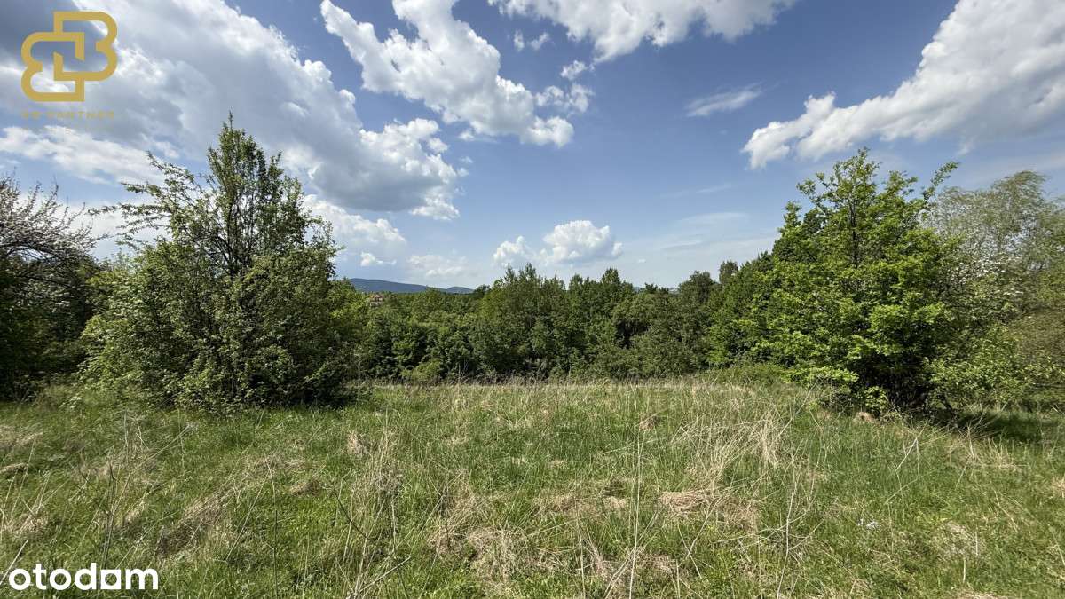 Twoja przestrzeń w naturze – działka 1,78 ha-9