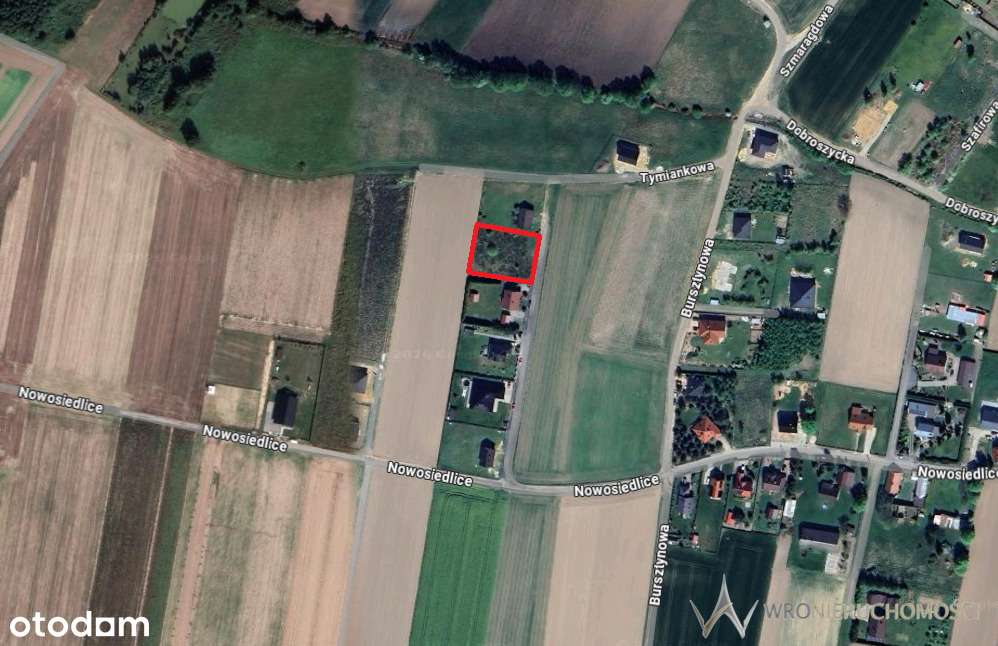 Działka 1475m2 I Nowosiedlice I Gotowa pod budowę - Pełny obrazek: 5/6