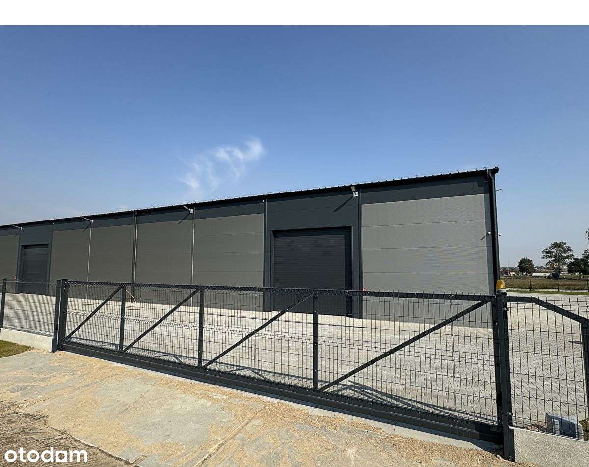 Nowa hala - 550m2 lub 1100m2 - blisko węzła - Pełny obrazek: 5/9