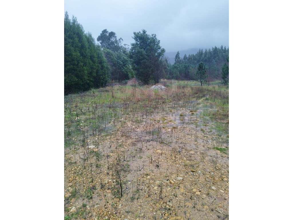 Terreno com projeto do Armazém - Gandra, Valença - Grande imagem: 4/7