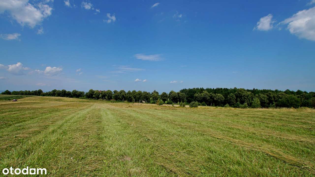 ŁĘCZE - DZIAŁKA  Z WIDOKIEM NA ZALEW WIŚLANY !!!-6