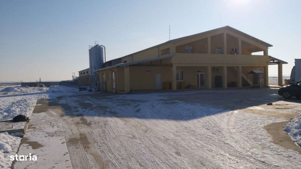 DE VÂNZARE Hala producție oua consum - Imagine principală: 4/11