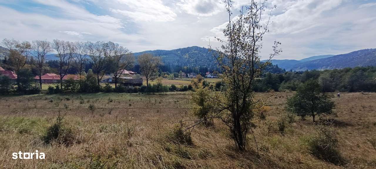 teren in zona Bradet-Sacele - Imagine principală: 5/9