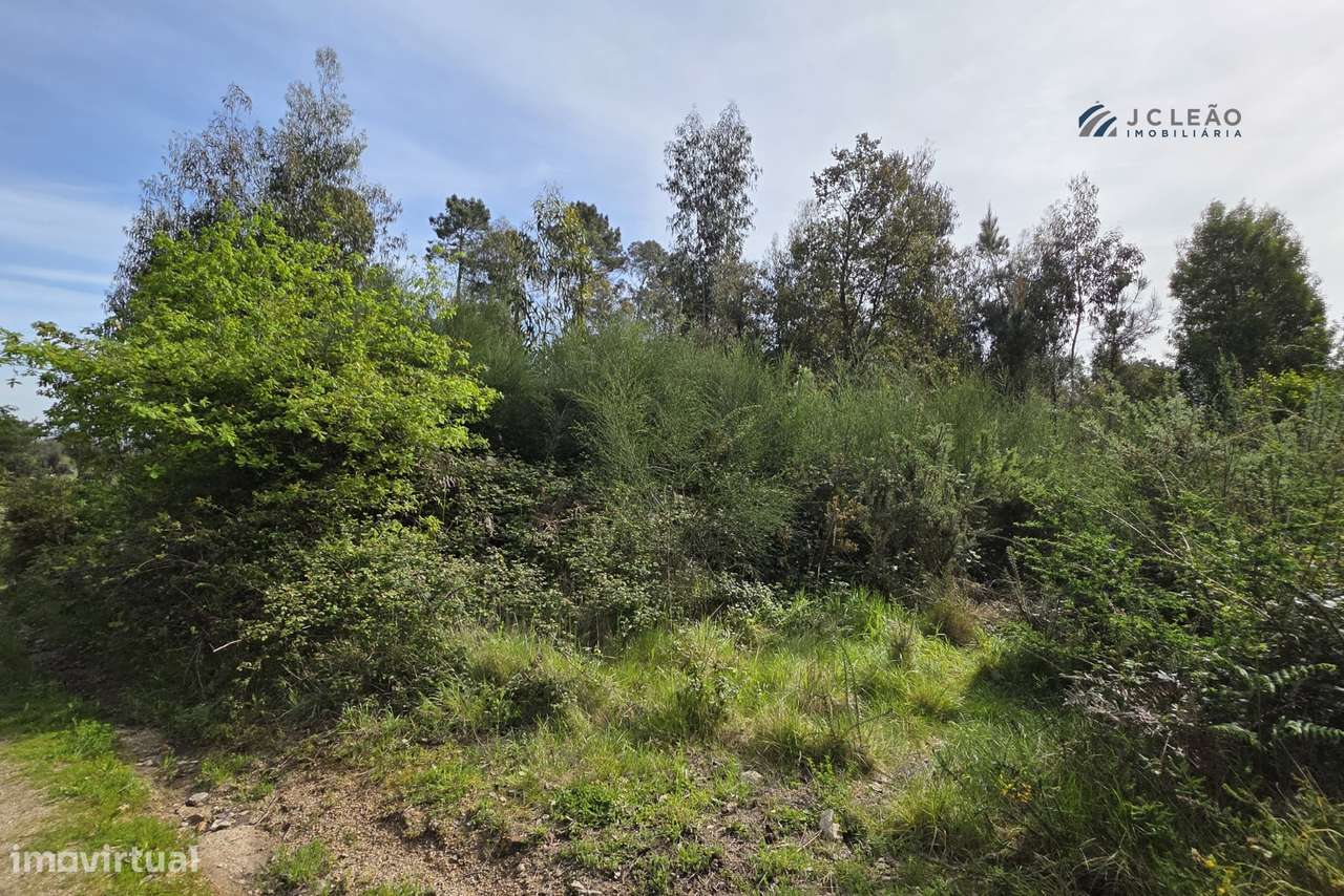 Terreno construção c/ 4000m2 Paços de Sousa, Penafiel - Grande imagem: 3/28