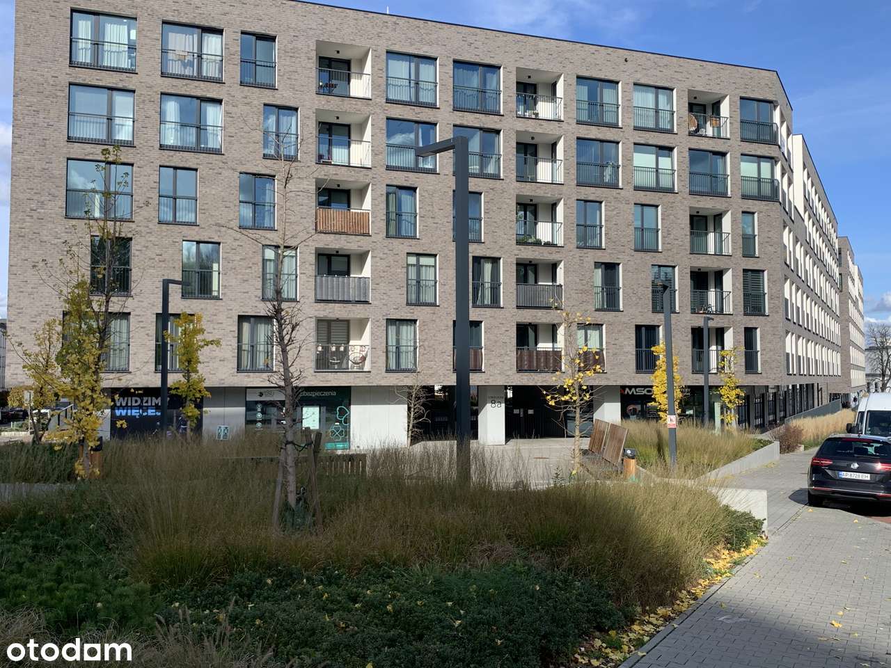 Strzelecka 8B, centrum, parter, duże witryny - Pełny obrazek: 1/6