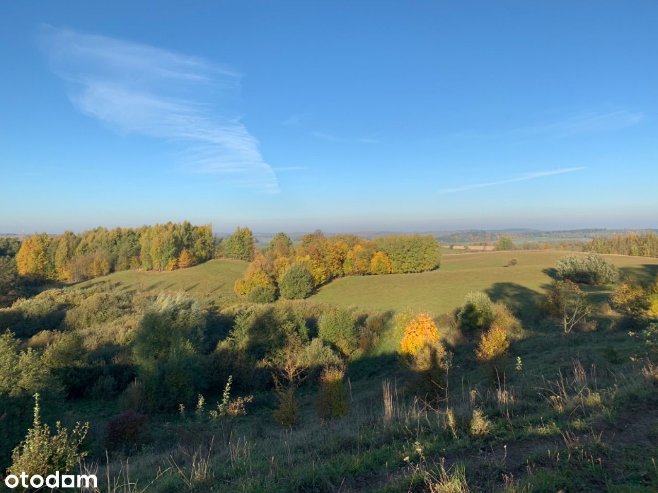 Magiczna Śpiglówka - sprzedam 4 siedliska (52ha)