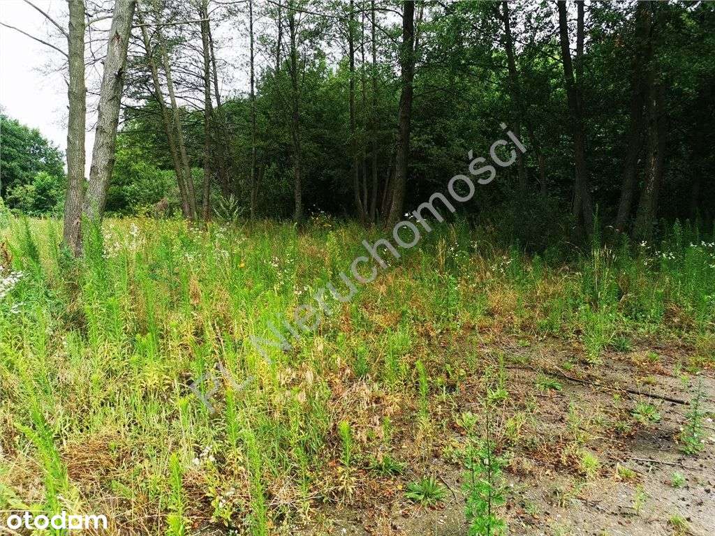 Działka w Chylicach gmina Jaktorów - Pełny obrazek: 5/7