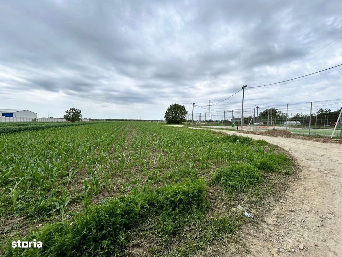 Proprietar vand 13600 m2 Dragomiresti Vale - Zurbaua - intravilan - Imagine principală: 5/10