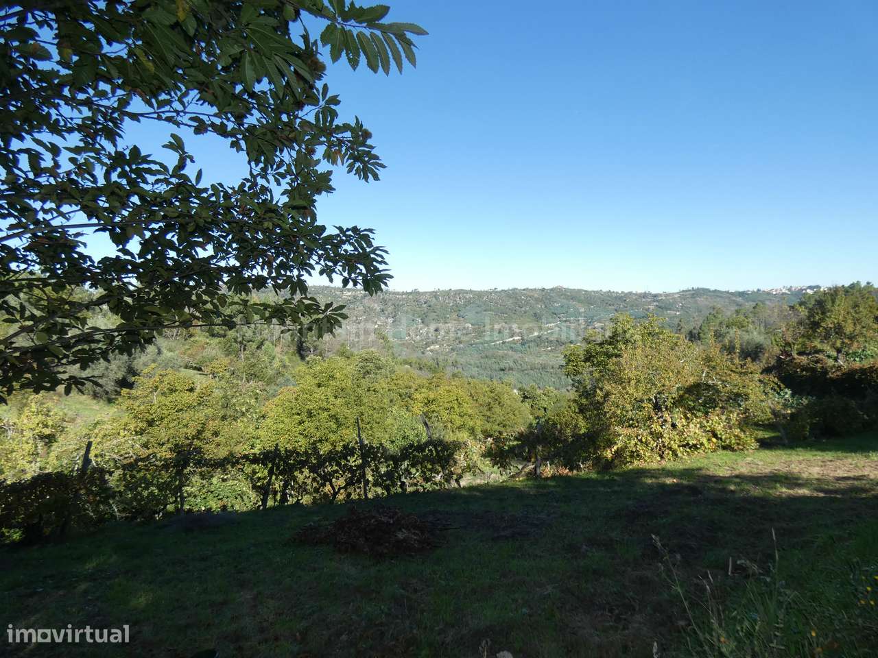 Quinta  Venda em Sandomil,Seia - Grande imagem: 4/19