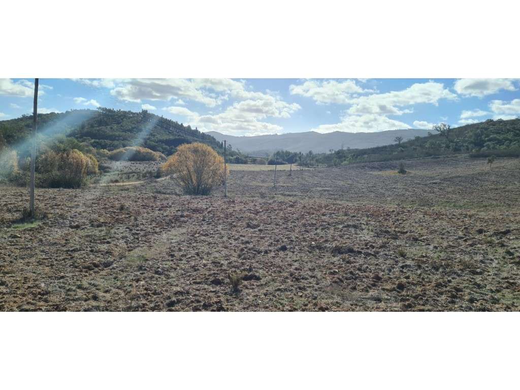 Monte Alentejano com projecto-15