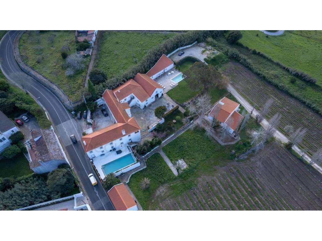 QUINTA EM COLARES - Grande imagem: 4/60