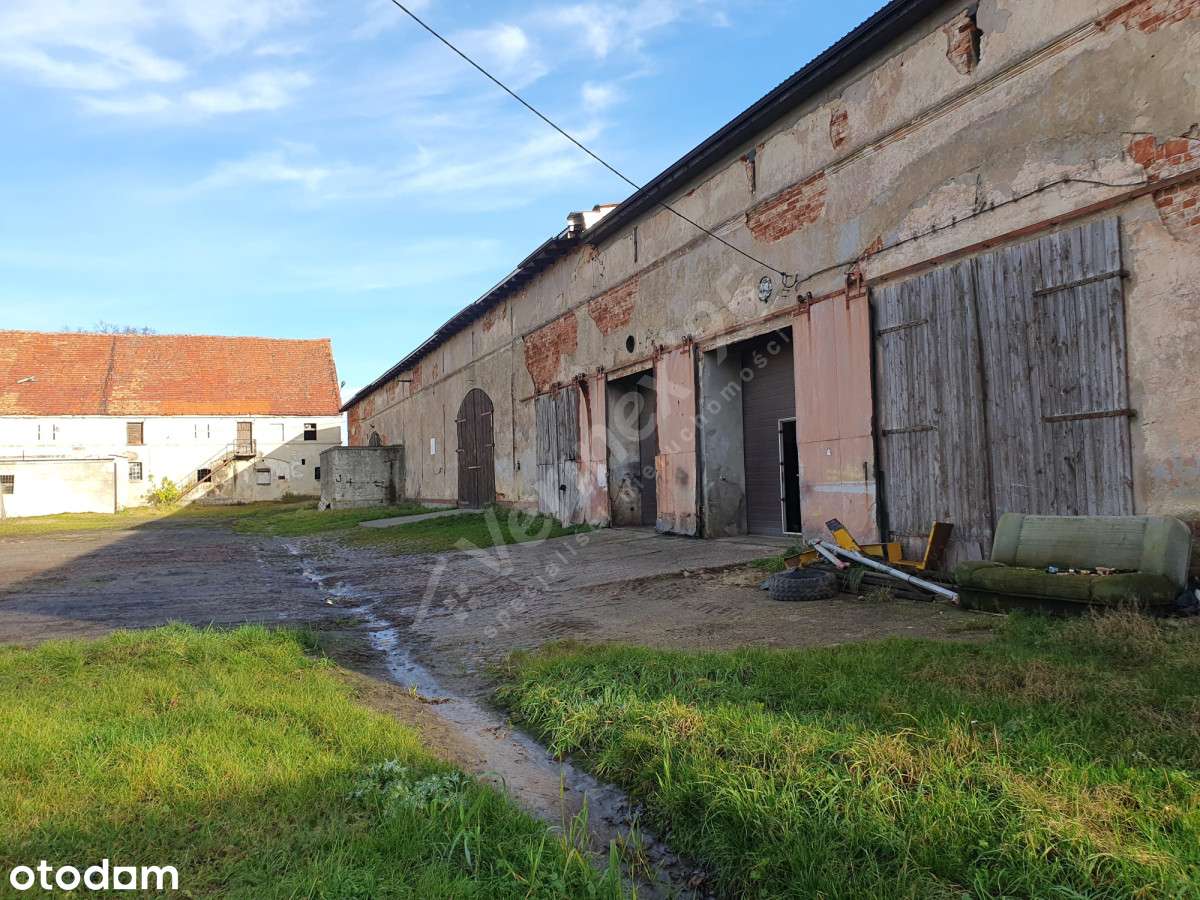 Zespół pałacowy(21ha) _ z DUŻYM terenem pod bud. mieszkaniowe(MPZP)-5