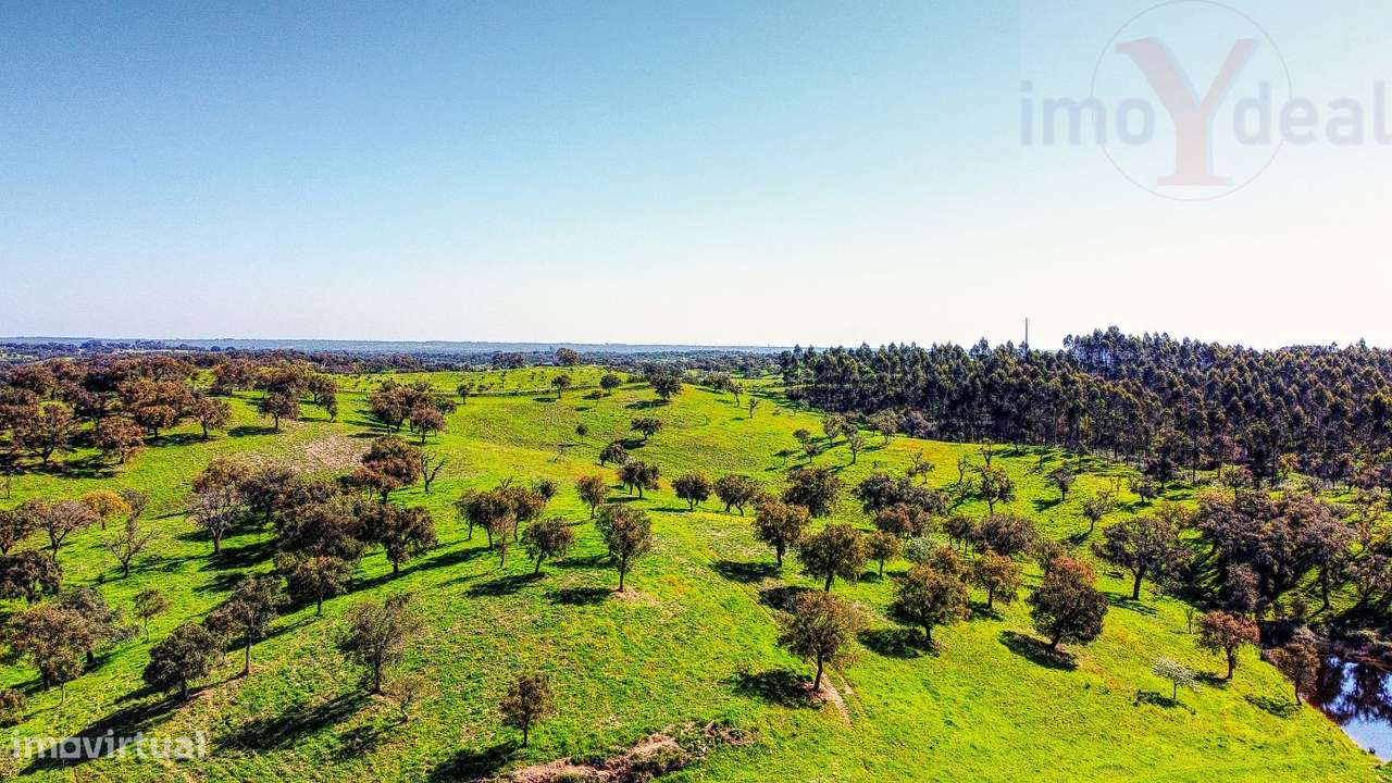 TERRENO EM S.BARTOLOMEU DA SERRA-7