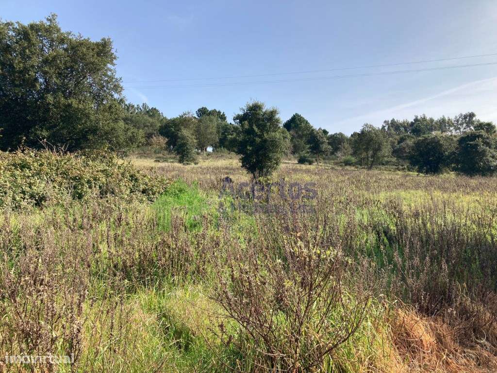 TERRENO - BARREIRA -BOMBARRAL - Grande imagem: 4/8